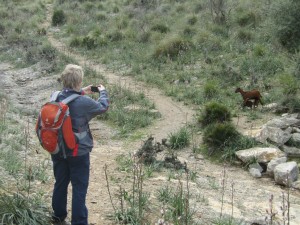 IMG_5197 (Medium)